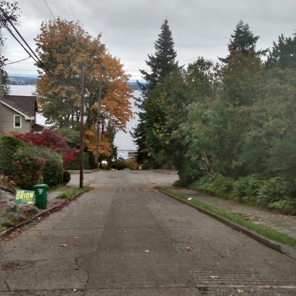 Meet your Posher, Herbert - Picture 1 of 1